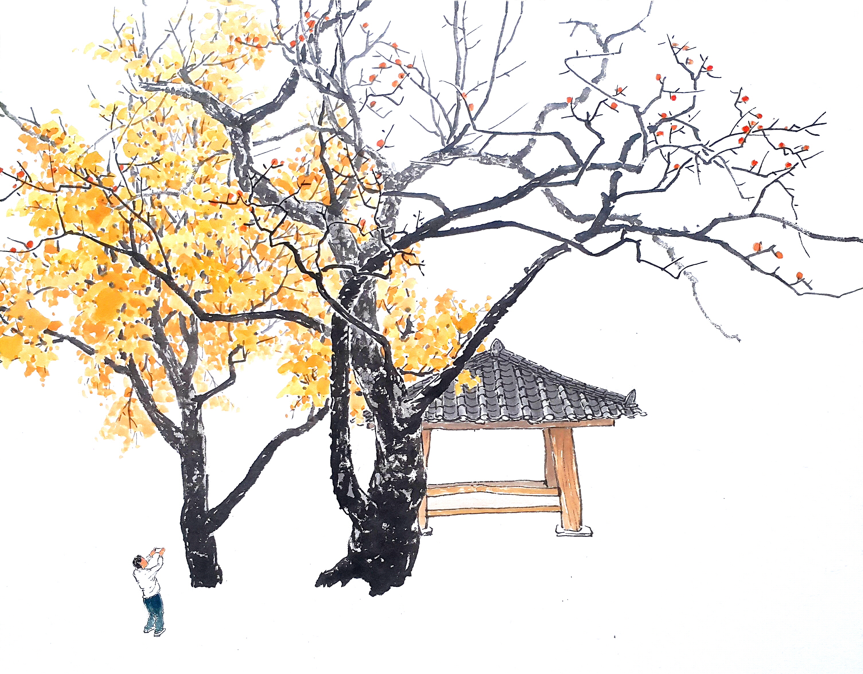 문화-갤러리 아트숲-감나무가있는풍경,72.7x60.6cm.jpg