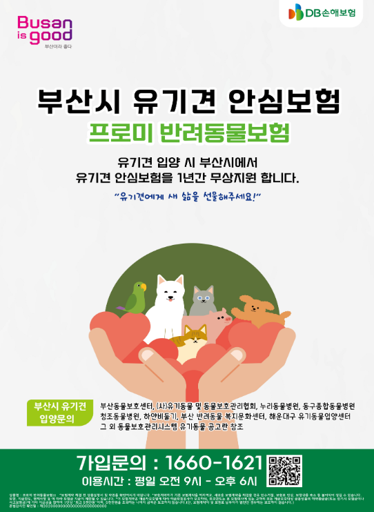 유기견 입양 시 1년간 펫보험 무료 지원.png